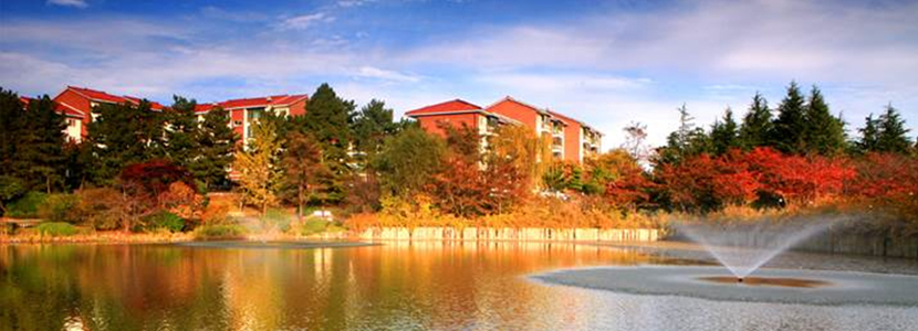 チゴクヨンイルデ（芝谷迎日台）＆チョンソンデ（青松台）森の道