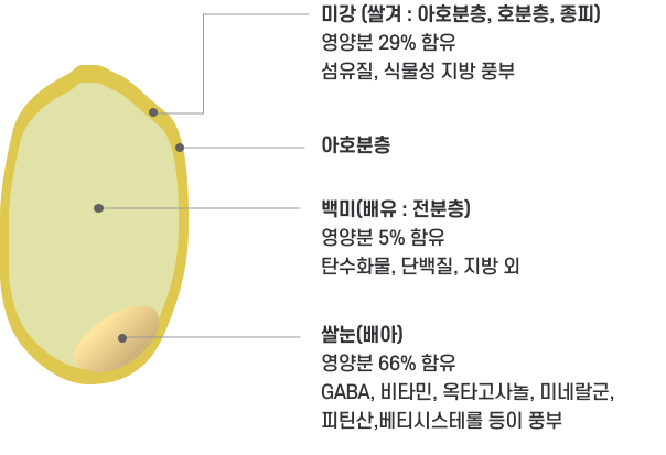 고혈압의 합병증 이미지